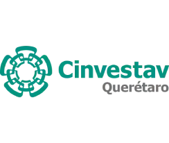 CIN LOGO